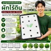ราคา ชุดปลูกผักไฮโดรโปนิกส์ ผักไทยแบบน้ำนิ่ง 8 และ 12 หลุม ช่องปลูก แถมฟรี!! ปุ๋ย AB 250 ml เมื่อซื้อครบ 5 ชุดใขึ้นไป (13249282225)