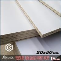 ราคา ไม้อัดเมลามีนสีขาว 18mm 20x30 cm (30x20 cm) ไม้อัดขาวด้าน 1 หน้า 18 mm 20x30 cm (55408063135)