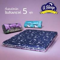ราคา พร้อมส่ง ที่นอนปิคนิค 5 ฟุต หนา 4 นิ้ว ที่นอนปิกนิค ที่นอนปิคนิก ที่นอนใยสังเคราะห์ (3149919651)