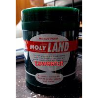 ราคา จารบี MOLYLANDจาระบีโมลี่แลนด์ ทนความร้อนสูง ใช้ได้ดีกับหัวเพลาขับ ลูกปืนล้อ ปั๊มน้ำ ยางหุ้มเพลา ปริมาณ 454 กรัม (51354949788)