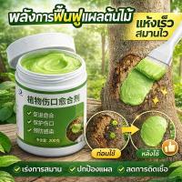 ราคา สมานแผลพืชได้รวดเร็ว MK ยาทาแผลต้นไม้ ทาแผลต้นไม้ ยาทาแผลต้นไม้ป้องกันเชื้อรา ป้องกันเน่าเสีย ใช้ได้กับพืชหลายชนิด (53857773270)