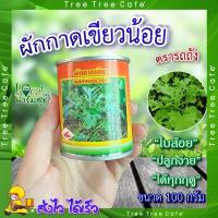 ราคา เมล็ด ผักกาดเขียวน้อย เมล็ดผักกาด ตรารถถัง (100 กรัม) เมล็ดผักกาดเขียวน้อย เมล็ดผักสวนครัว เมล็ดผัก เมล็ดพันธุ์ผัก (22866981131)