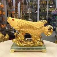 ราคา ปลามังกร ปลามงคลแห่งความมั่งคั่ง และโชคลาภ (5506862472)