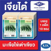 ราคา ผักซอง เจียไต๋ CT15 มะเขือไข่เต่าเขียว เมล็ดพันธุ์ แพ็คละ 10 ซอง (19375431079)