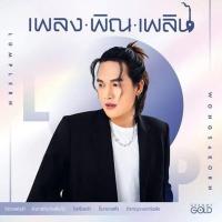ราคา CD ลำเพลิน วงศกร อัลบั้ม เพลง พิณ เพลิน (51104677611)