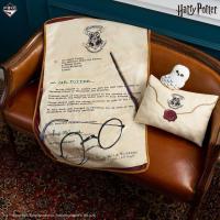 ราคา Harry Potter Admission Letter Blanket Cushion Hedwig ตุ๊กตา หมอนผ้าห่ม จดหมาย แฮร์รี่พอตเตอร์ เฮ็ดวิก ลิขสิทธิ์แท้ (54250826478)