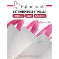ราคา [หลายขนาด] กระดาษ Hahnemuhle Britannia Watecolor - CP - 300gsm (43765104213)