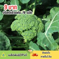 ราคา 9 บาท บร็อคโคลี่วอลทัม บรรจุ 70 เมล็ด (29537825415)