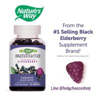 ราคา AiiZ USA แท้ 100%Nature's Way Sambucus Elderberry Gummies with Vitamin C & Zinc, 60 Gummies วิตามิน (15187520008)