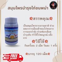 ราคา LAMPAM ลำปำ สมุนไพรบำรุงไก่ชนพม่า วิตามินไก่ชน บำรุงไก่พม่า ของแท้ 100% พร้อมส่ง (28005507384)