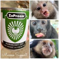 ราคา ZuPreem : MARMOSET DIET CANNED อาหารสำหรับลิงมาโมเสทและลิงทามาริน (3760440221)