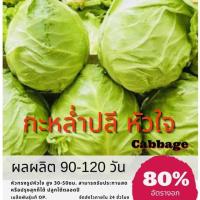ราคา เมล็ดพันธุ์ กะหล่ำปลีรูปหัวใจ กะหล่ำปลีหัวใจ 500 เมล็ด กะหล่ำปลี กะหล่ำ (ซื้อ 10 แถม 1 คละอย่างได้) (2465059660)