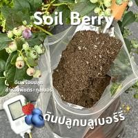 ราคา ดินปลูกบลูเบอรี่ ดินปลูกพืชตะกูลเบอรี่ ดินสตอเบอรี่ ดินปลูกโร่งร่วน ดินร่วน ดินระบายนำดี ดินปลูกผลไม้ (27629675576)