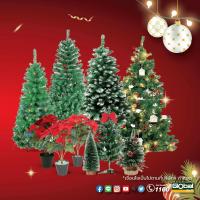 ราคา Ghouse Online Tree’O ต้นคริสต์มาส พร้อมไฟตกแต่ง รุ่นCT0012 ขนาด76×76×150ซม. สีเขียว สินค้าขายดี! (24053157025)