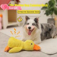 ราคา TOINOF Puppy Chew Toy, Creative Soft Dog Squeaky Toy, Plush Squeeze Sound Pet Accessories Cat (49661440846)