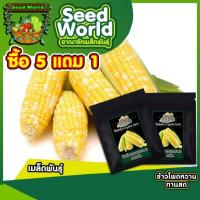 ราคา ข้าวโพดหวานทานสด 30 เมล็ด ข้าวโพดผลไม้ สามารถทานสดได้ มีความหวานหอม น้ำนมเยอะ ปลูกได้ทั่วทุกภาคของไทย (10644753210)