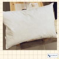 ราคา Muji มูจิ หมอนขนเป็ด ขนาด 43x63 cm (ของแท้ พร้อมส่ง) (12941655251)