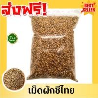 ราคา MK !!! เมล็ดผักชี เม็ดผักชี ผักชี ผักชีไทย ผักชี เมล็ดผักชี เม็ดผักชี ลูกผักชี ผักชีเมล็ดผักชี ลูกผักชี (28686390297)