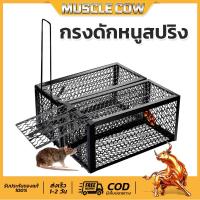 ราคา กรงดักหนูสปริง2ตัวโครงหนา กรงดักหนู กรงดักหนูแบบมีโครง กรงดักหนูสปริงคู่ กรงดักหนูนา กรงดักหนูเล็ก กรงดักหนูถ mousetrap (44559224406)