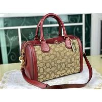 ราคา พร้อมส่ง coach หมอน ขนาด 9นิ้ว (1820976389)