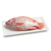 ราคา ท็อปส์ปลาทับทิมสด ขนาดประมาณ 400ถึง600กรัมต่อตัว Tops Tubtim Fish 400to600g. per pcs. [หมายเลขบาร์โค้ด 0216662000009 ] (57409719611)