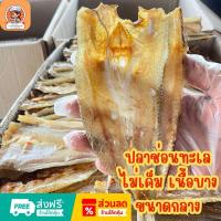 ราคา ปลาช่อนทะเล ขนาด 500 กรัม ตากแห้ง ไม่เค็ม เป็น ปลาขนาดกลาง เนื้อบาง ตัวสวย รสชาติอร่อย ออกมัน กลมกล่อมไม่เค็มพอดีกิน (24992201652)