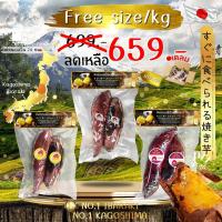 ราคา Oishi-Fresh มันหวานญี่ปุ่น Beni haruka แท้เผาพร้อมทาน 500 กรัม เนื้อเหลือง หอม หวาน สินค้าเคลมได้ จัดส่ง 24 ชม. (3586408496)