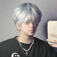 ราคา วิกผมผู้ชายผมสั้นเท่ ๆ สีเงินคุณยายเทาผู้ชายธรรมชาติเต็มรูปแบบ (25177428288)