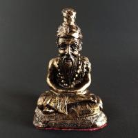 ราคา ปู่ฤาษีนารอท มวลสารแร่เหล็กน้ำพี้ (5754896960)