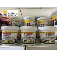 ราคา DRAGA เคมีโป้วผนัง สีโป้วผนัง Wall Putty โป้ว อุด ซ่อมกำแพง รอยแตกร้าว ขนาด 1kg (5138407041)