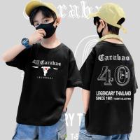 ราคา เสื้อยืด วง คาราบาว Carabao วง ดนตรี ไทย เพื่อชีวิต รูป ภาพ ติดผนัง สวยๆ (22389758799)