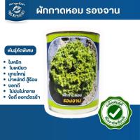 ราคา ตราลูกโลก เมล็ดผักกาดหอม รองจาน Lettuce เมล็ดพันธุ์ผัก ผักสวนครัว ผักซอง (27586802970)