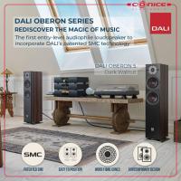 ราคา DALI Oberon 5 Tower Speakers (Pair)walnut (24772404766)