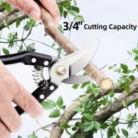 ราคา Professional Sharp Garden Pruning Tools, Stainless Steel Bird Beak Shaped Scissors,Tree Trimmers fo (46708074193)