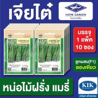 ราคา เมล็ดพันธุ์ ผักซอง เจียไต๋ CT25 หน่อไม้ฝรั่ง แมรี่ บรรจุแพ็คล่ะ 10 ซอง (24776987980)