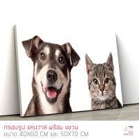 ราคา ภาพแต่งบ้าน รูปติดผนัง ภาพน้องหมาน้องแมว คนรักสุนัข คนรักแมว ทาสแมว ทาสหมา ภาพโมเดิร์น C-20 (2606052431)