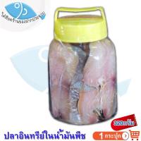 ราคา ไต๋ฮ๊อด ปลาอินทรีย์เค็มในน้ำมันพืช (เล็ก) 320กรัม 1กระปุก ปลาอินทรีย์ ปลาอินทรี ปลาอินทรีย์ในน้ำมัน (8066138543)