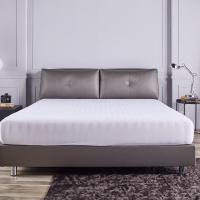 ราคา TJ MATTRESS เตียงดีไซน์ รุ่นปริ้นเซส (PRINCESS) เรียบหรู โมเดิร์น หัวเตียงบุนุ่ม (41029745944)