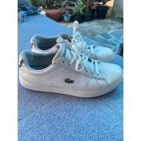 ราคา รองเท้า lacoste มือ2 (19016753653)