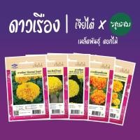 ราคา เมล็ดดอกไม้ เมล็ดดอกดาวเรือง เมล็ดดาวเรือง ดาวเรือง ดอกดาวเรือง marigold l เจียไต๋ เมล็ดพันธุ์ดอกไม้ ปลูกดอกไม้ (3395511284)