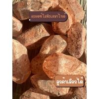 ราคา แท่งคอวตซ์ผิวติดเฮมาไทต์ ขนาดเล็กๆ ควอตซ์แท้ธรรมชาติ เพิ่มพลังงานดีๆให้จิตใจ หินธรรมชาติ ควอตซ์ใส ผลึกควอตซ์ หินพลังงาน (49253375649)