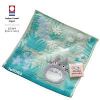 ราคา My Neighbor Totoro Ghibli ผ้าขนหนู ขนนุ่ม ลายน่ารัก สินค้าญี่ปุ่น (42450435460)