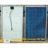 ราคา แผงโซล่าเซลล์(มือสองหน้าสวย)ยี่ห้อ "Conergy"250 วัตต์ ชนิด โพลี่ **สั่งได้ครั้งละ1แผง** (18272762703)
