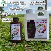 ราคา จุลินทรีย์หน่อกล้วย คัดเกรดคุณภาพสูง (21537562214)