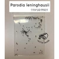 ราคา กระบองทอง กระบอง ทอง เมล็ดกระบองทอง Parodia Notocactus leninghausii กระบองเพชร แคคตัส cactus seeds (7932566202)