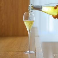 ราคา CRISON | CHAMPAGNE GLASS SERIES แก้วแชมเปญ แก้วสปาร์คกลิ้งไวน์ | CORE COLLECTION (CP8207) (43415025314)