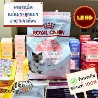 ราคา Royal Canin - Cat - Mother&BabyCat 1.2 KG - รอยัลคานิน อาหารเม็ดสำหรับแม่แมวและลูกแมว 1.2 KG (26103566596)