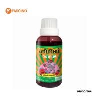ราคา อุทัยทิพย์ ตรากิเลน UTIP (15 ml.) (43931171452)