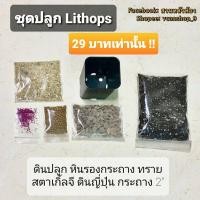 ราคา ถูกที่สุด ชุดปลูก Lithops ครบเซตสุดคุ้ม ดินปลูกไลทอป หน้าตูด (7356103803)