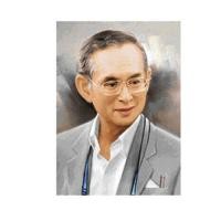 ราคา PINN SHOP ชุดปักครอสติช : ในหลวง ร.๙ [GO-037] (40879487027)